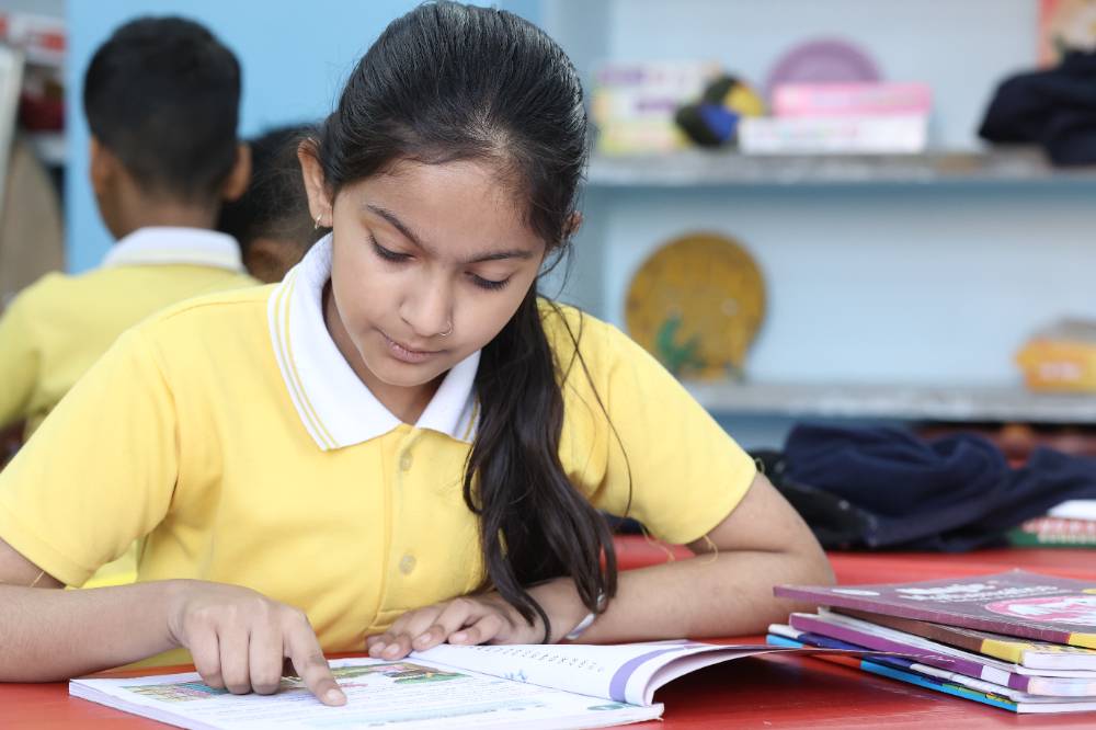 Pink Model School academics